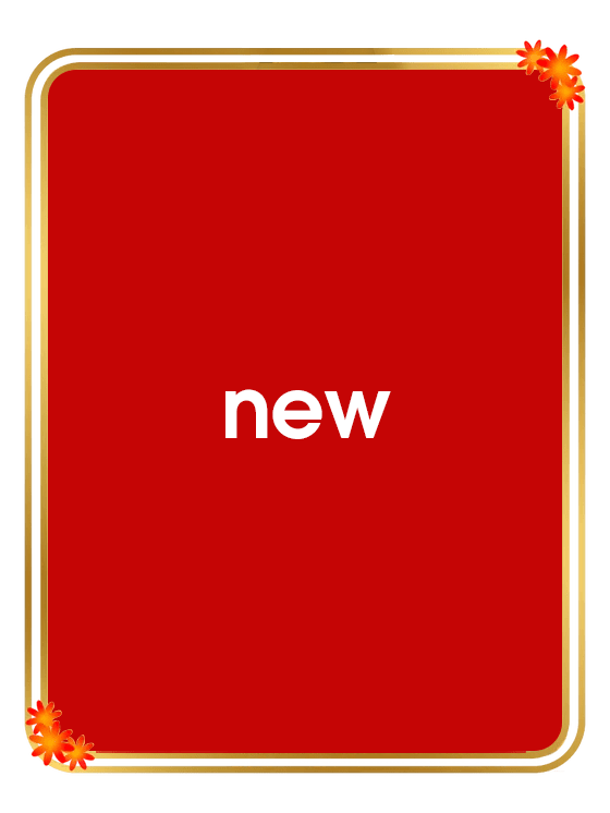 NEW ARRIVALS - Indiva By Silva